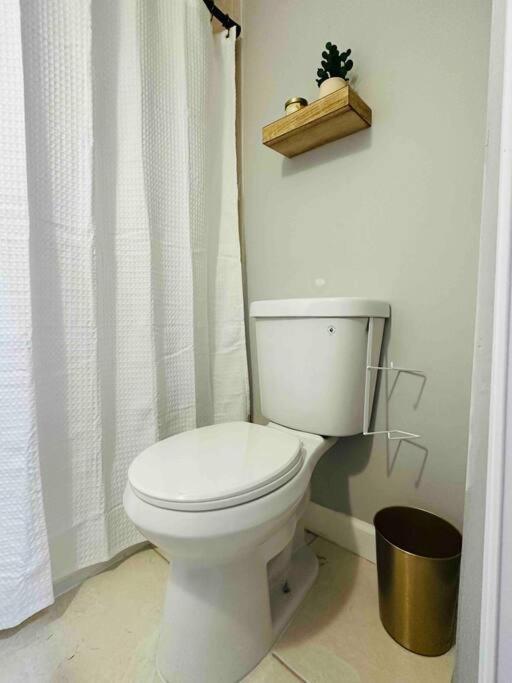 Coral Gables Miami Studio Near Airport And Beaches Extérieur photo
